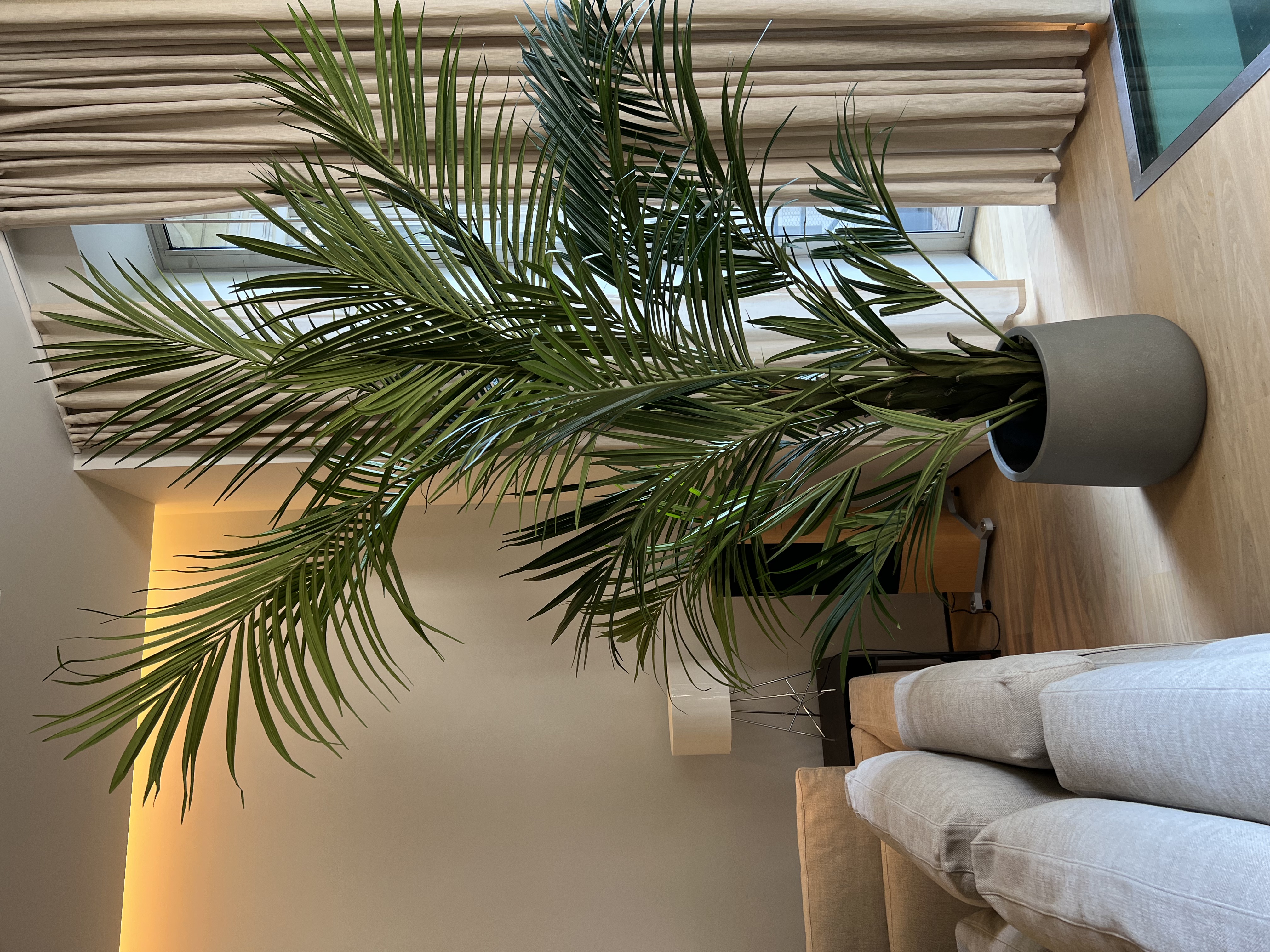 伦敦肯辛顿住宅 | Kelly Hoppen | 2022 | 英国-7