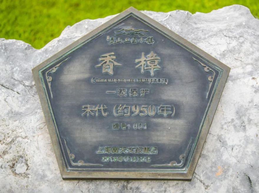 上饶悦麓开元观堂 | 古徽州文化与现代度假的完美融合-129