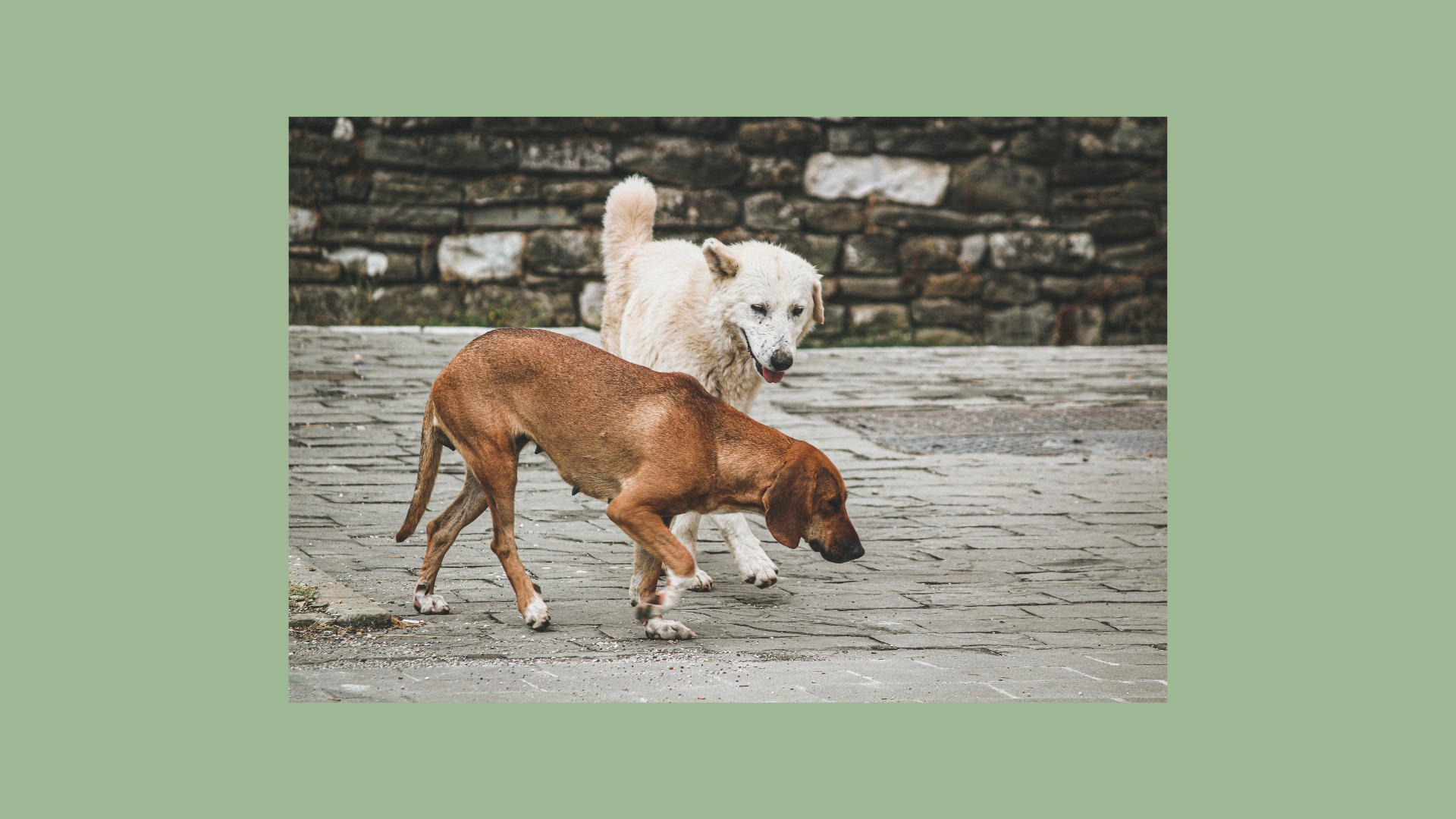 LANDSCAPE PHOTOGRAPHY FROM ALBANIA-9