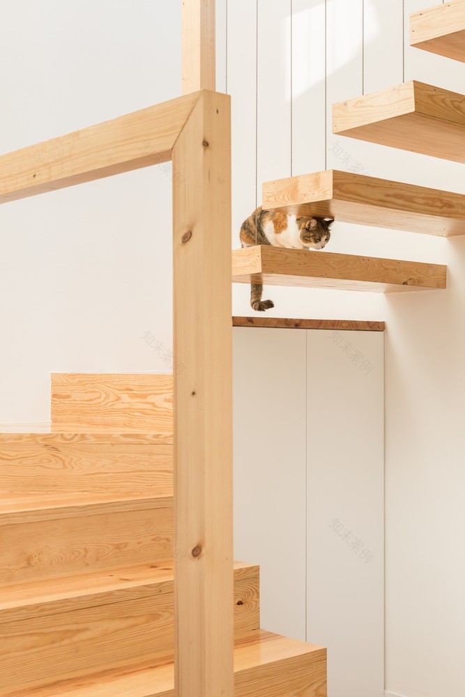 1914 年抽屉式建筑翻新公寓-53