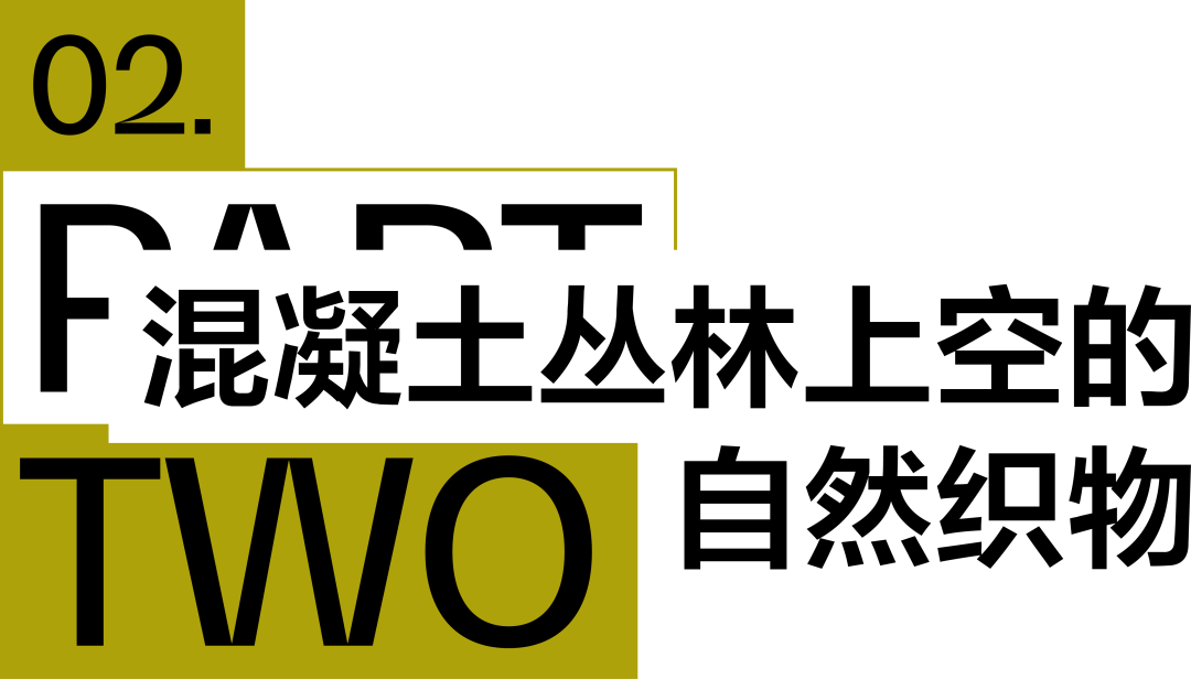 你以为竹子的极限和竹子真正的极限-49