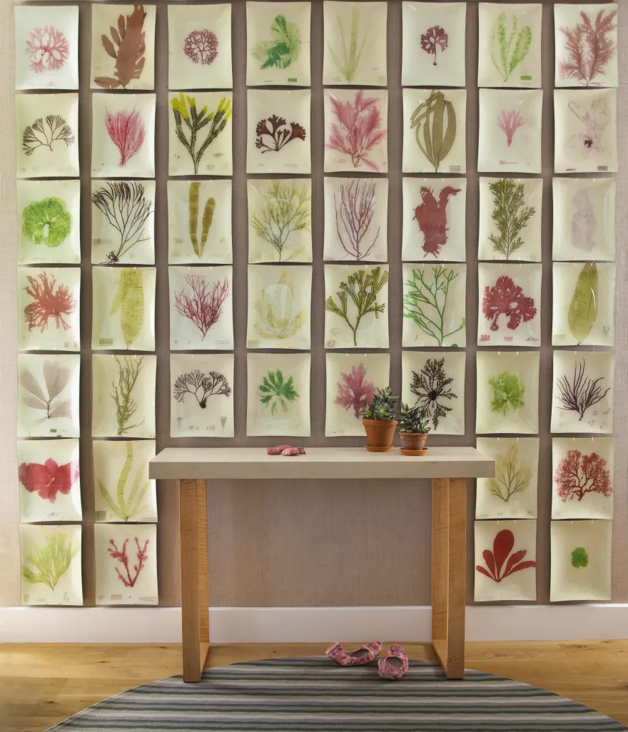 楠塔基特·SCW室内设计公司(注:若SCW有特定含义,需结合具体背景确定更准确译法,这里按一般情况将Interiors译为室内设计公司 ) 丨美国-51