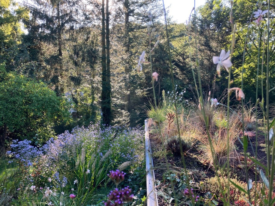 Kelleveld 住宅改造丨比利时丨Mamout architectes-62