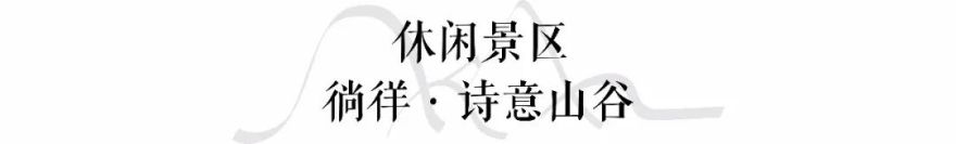 绿意兴起时,水韵阑珊处 | 沈阳中海 · 寰宇天下-35