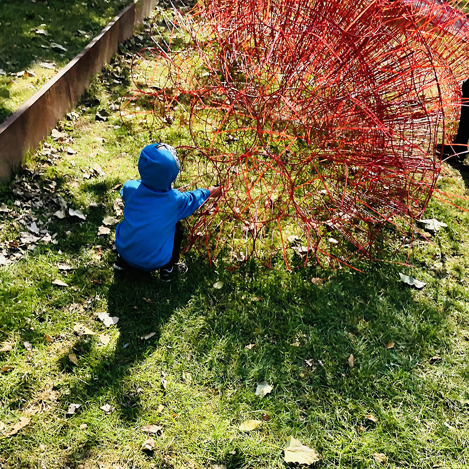 丹岩丨中国北京丨北京林业大学-119