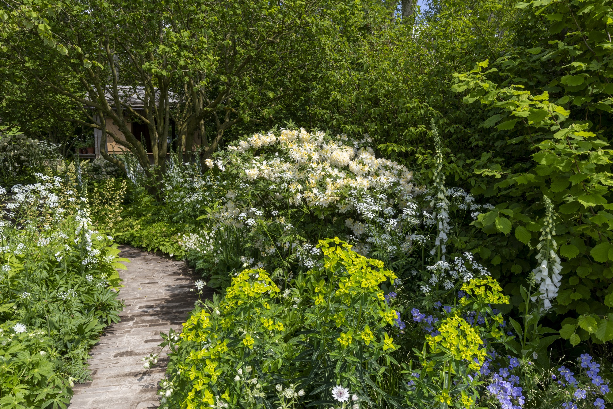 2024切尔西花园展获奖作品丨英国丨Royal Horticultural Society-46