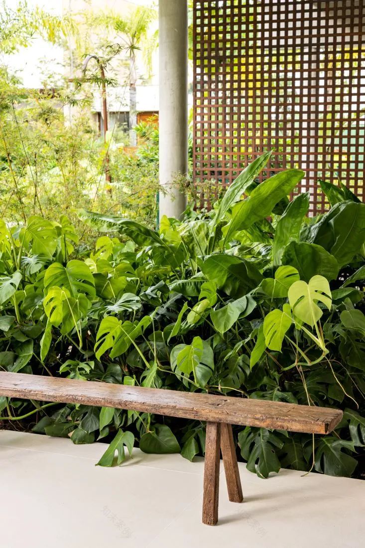 别墅丨巴西丨Nildojose Arquitetos-56