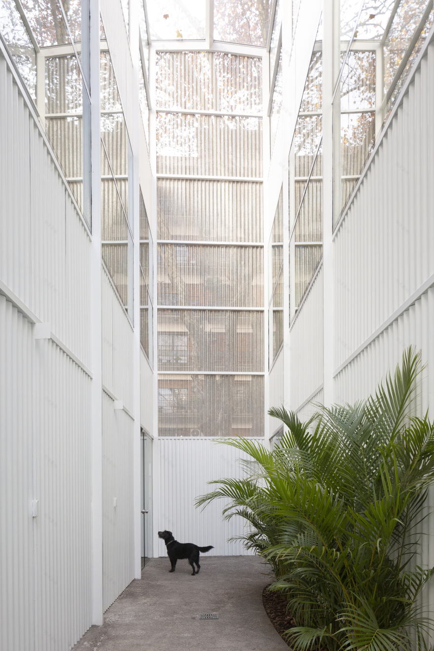 Guayaquil 兽医诊所丨阿根廷丨Adamo Faiden 建筑事务所-13