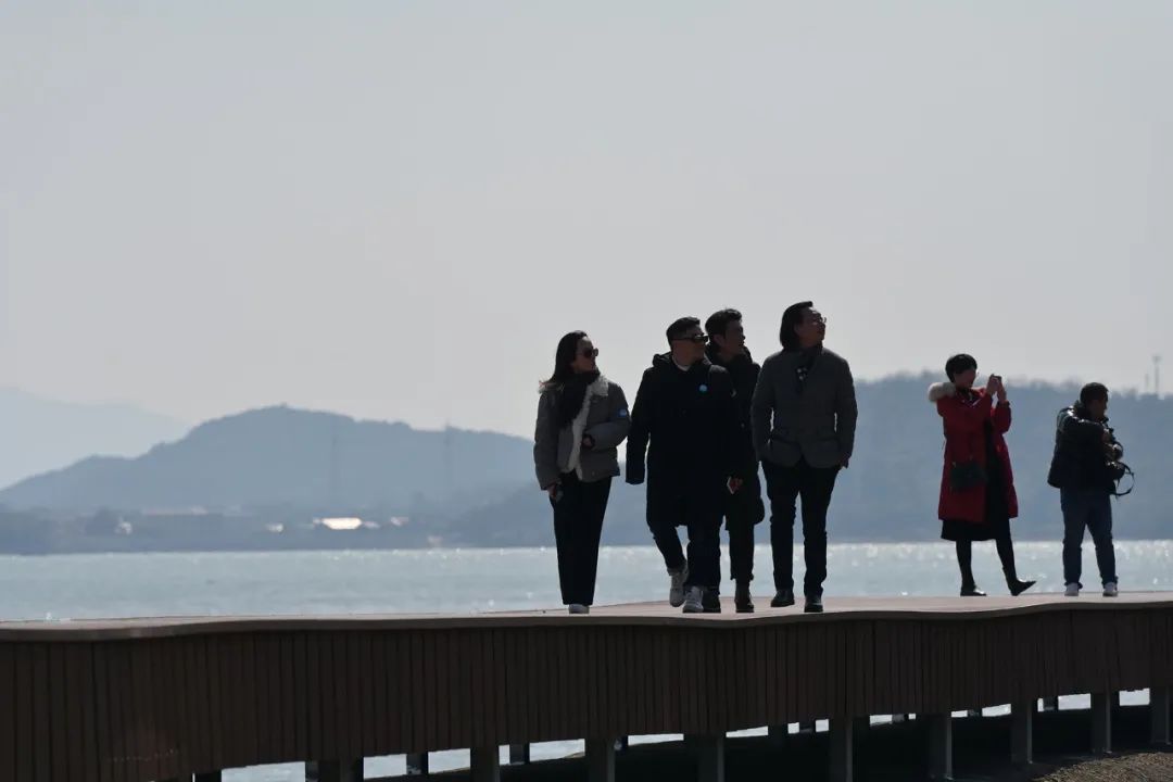 茶花奖设计灵感沙龙 · 宁海站丨中国宁波丨金元门设计公司,IDEA 杂志-6