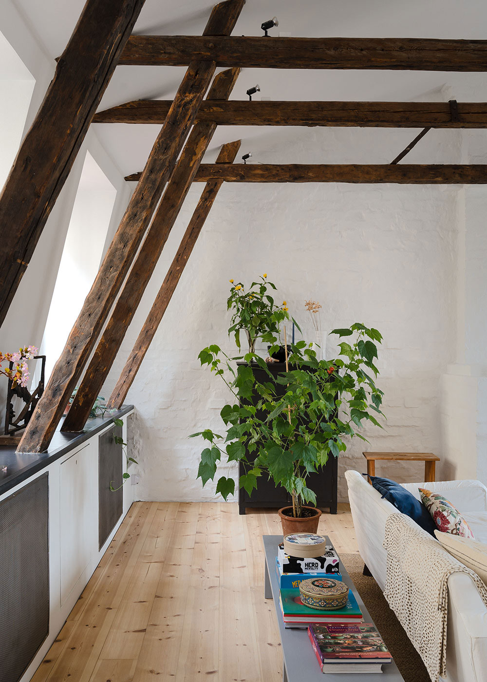 斯德哥尔摩乡村风格顶层公寓-9