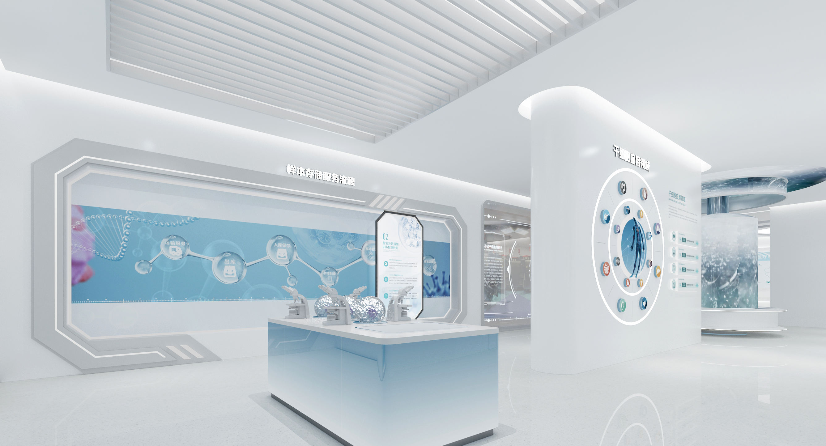 干细胞生物展馆-(一个小展厅的几次方案调整)-10