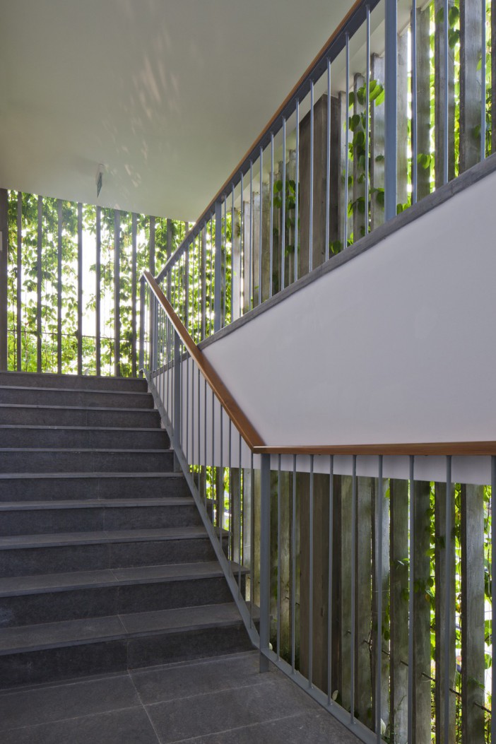 Naman The Babylon | VTN3-6