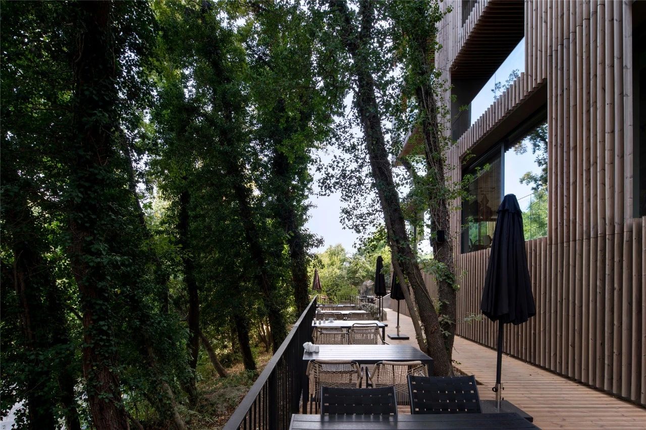 竹中诊所 - 温暖透明丨日本丨TSC Architects-77