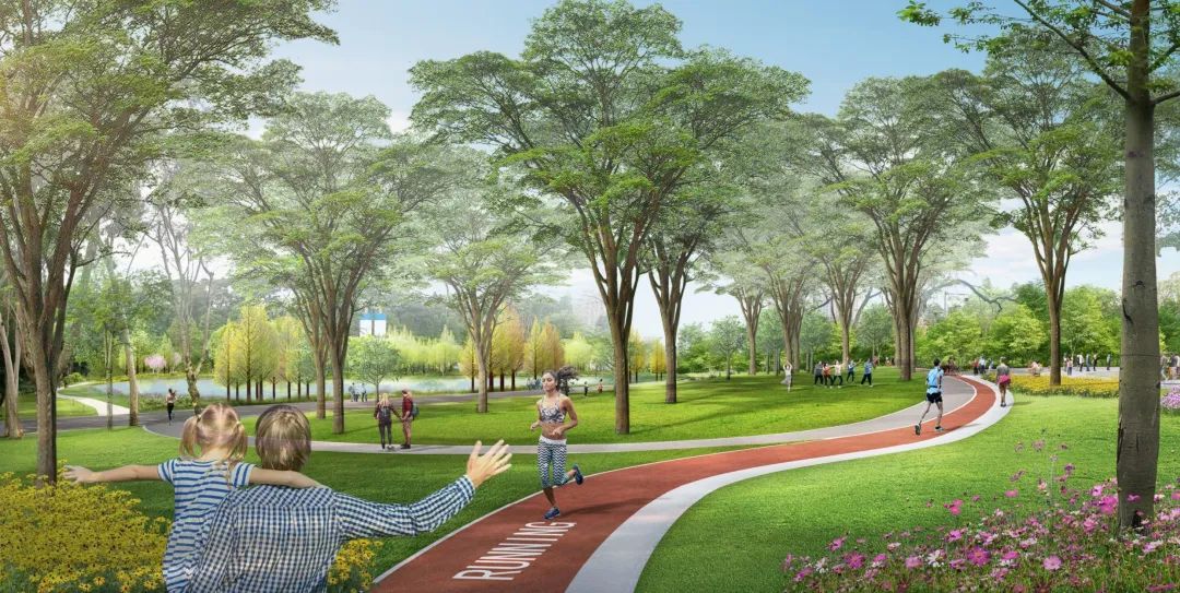 广州园林院两大项目助力城市更新,呈现生态人文之美-41