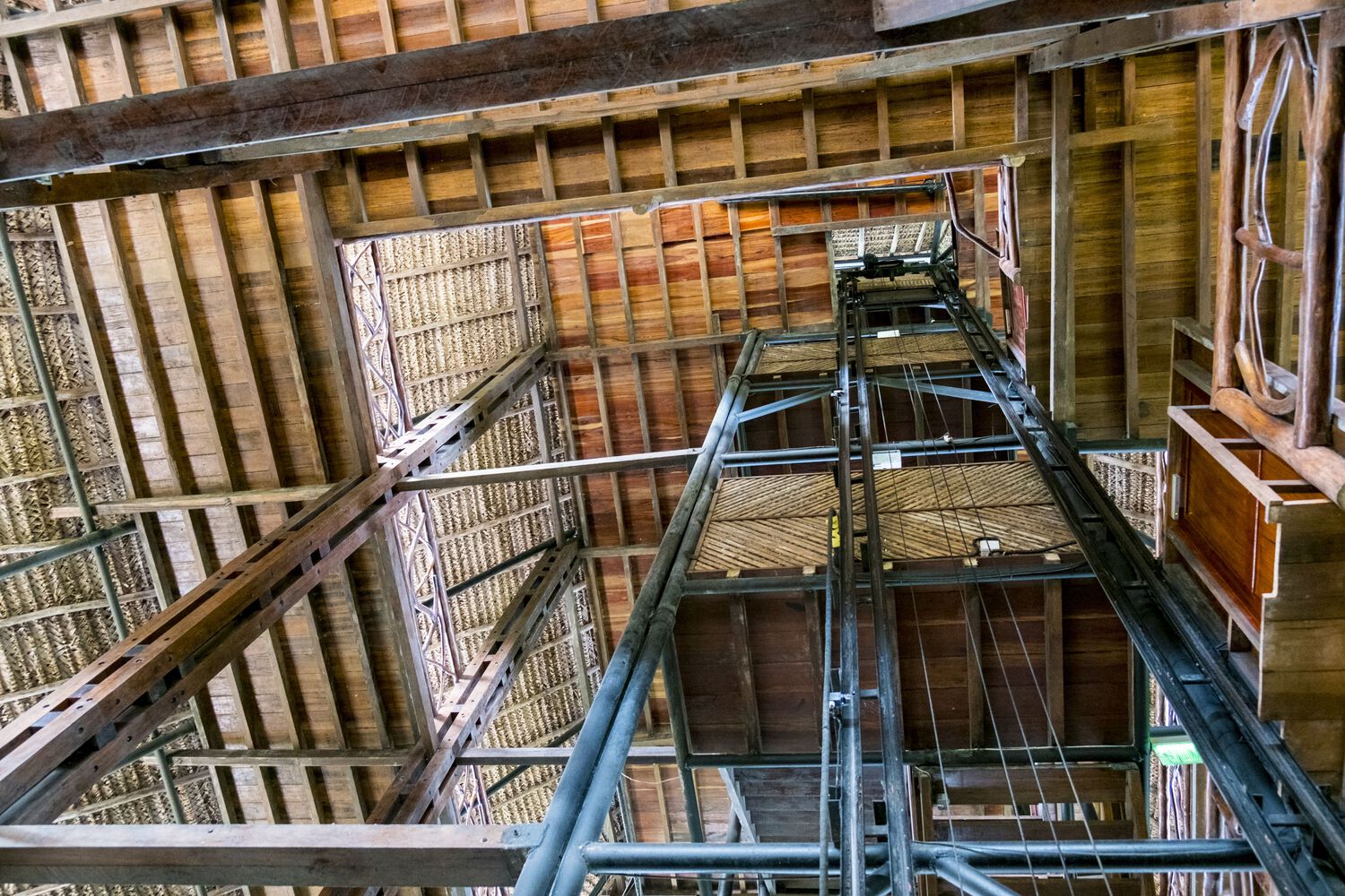 厄瓜多尔 Napo 本地动物中心塔-22