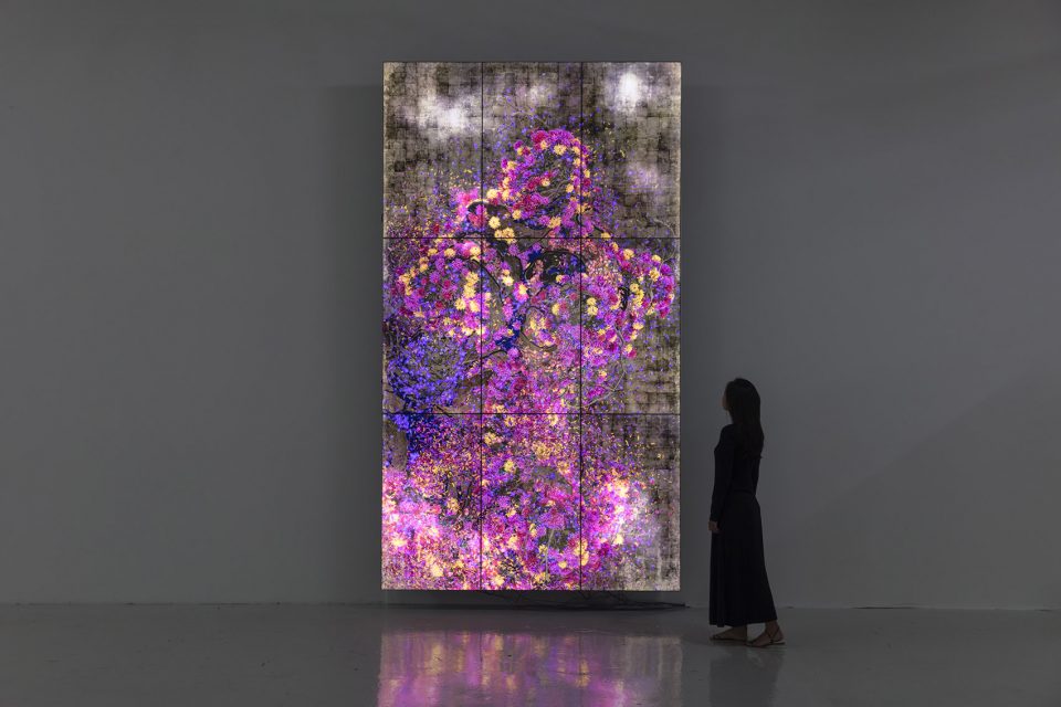 teamLab 迪拜个展 | 自然与民俗的数字艺术盛宴-7