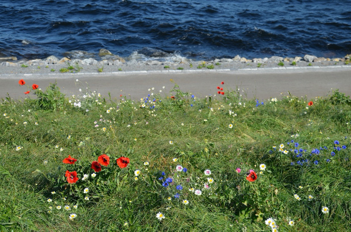 芬兰 Tampere Ranta·Tampella 公共户外空间-11