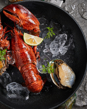 菲仕乐 × 有食间｜产品氛围摄影｜锅具也可以有温度