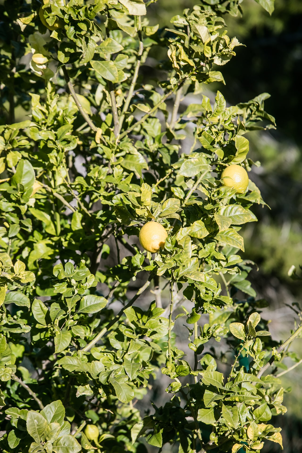 Vue sur la mer - 't Huis van Oordeghem-24