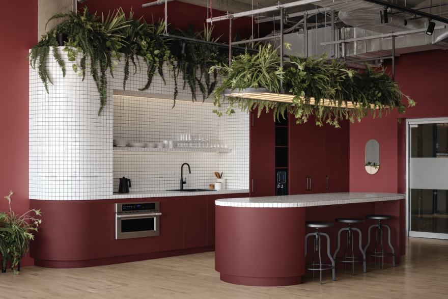 动物卫生(EVAH)办公室丨加拿大蒙特利尔丨Linebox Studio-23