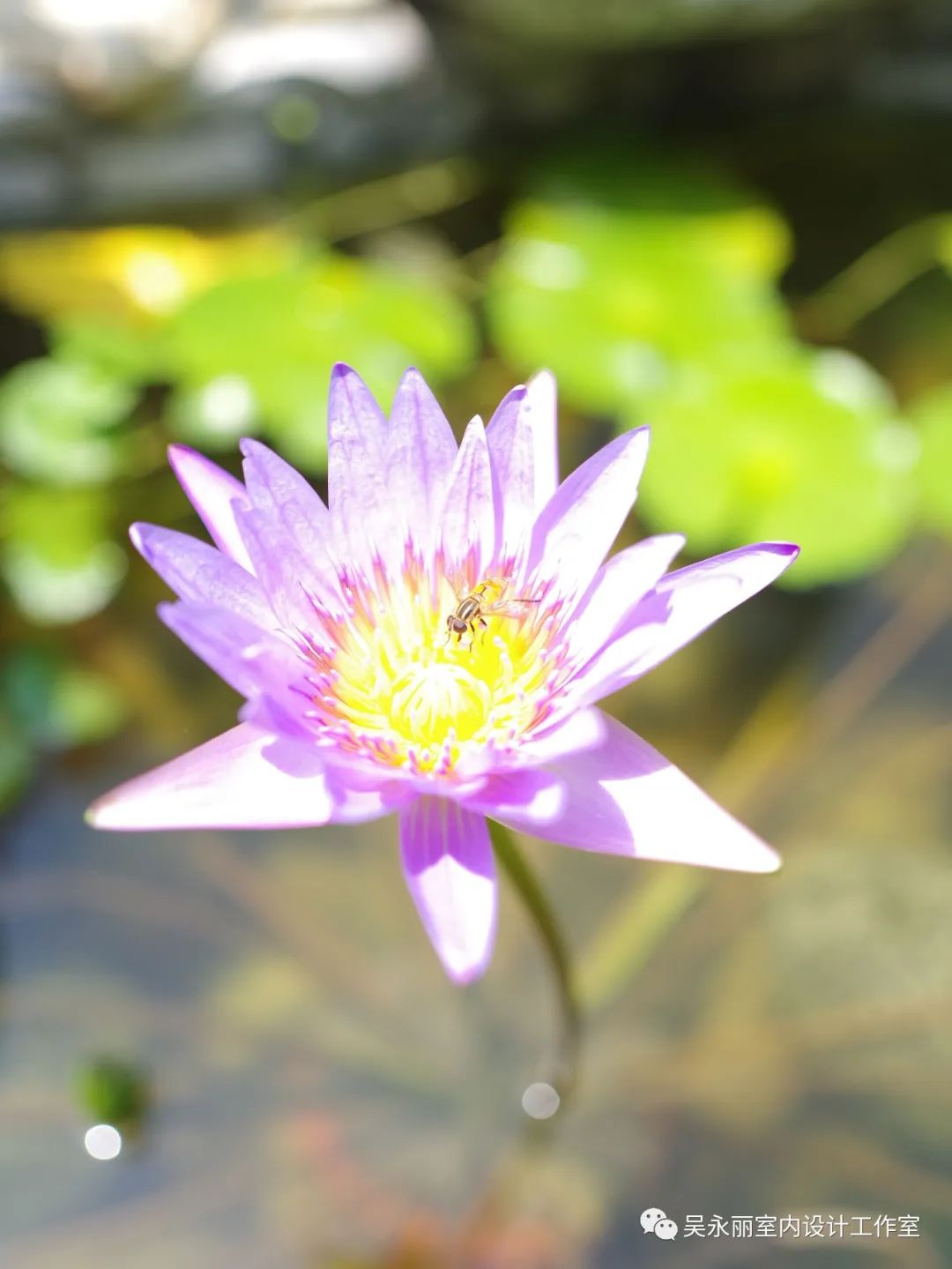 惠州御湾雅墅新中式轻奢风设计-137