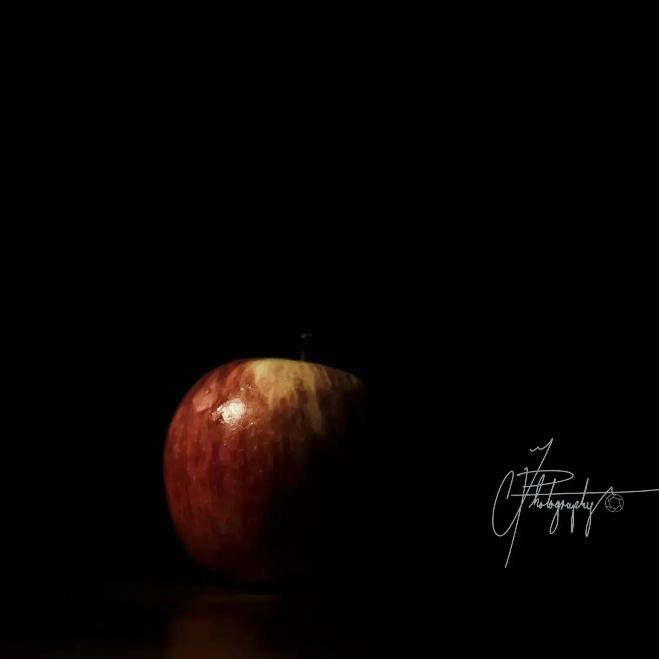 奥米加数码系统大使-39