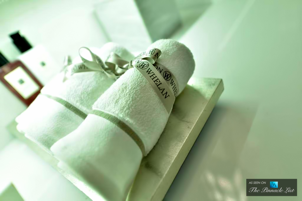 住宅 43 Reeves Mews 英国 伦敦 别墅-17