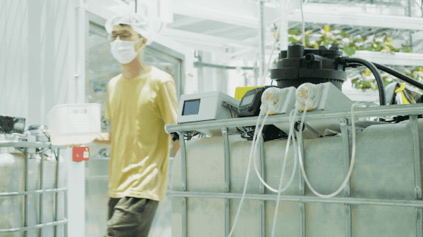 香港KFarm · 高科技农场的绿色奇迹丨中国香港丨陈启豪等-35