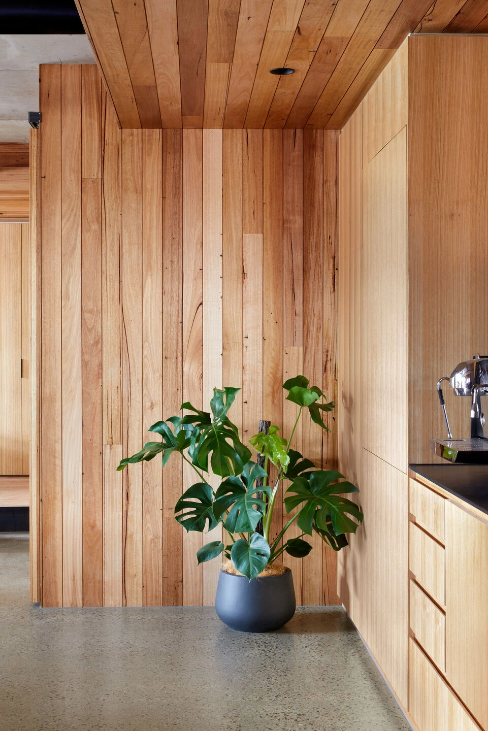 维多利亚·阿图诺体验实验室丨澳大利亚墨尔本丨Native Design Workshop-17