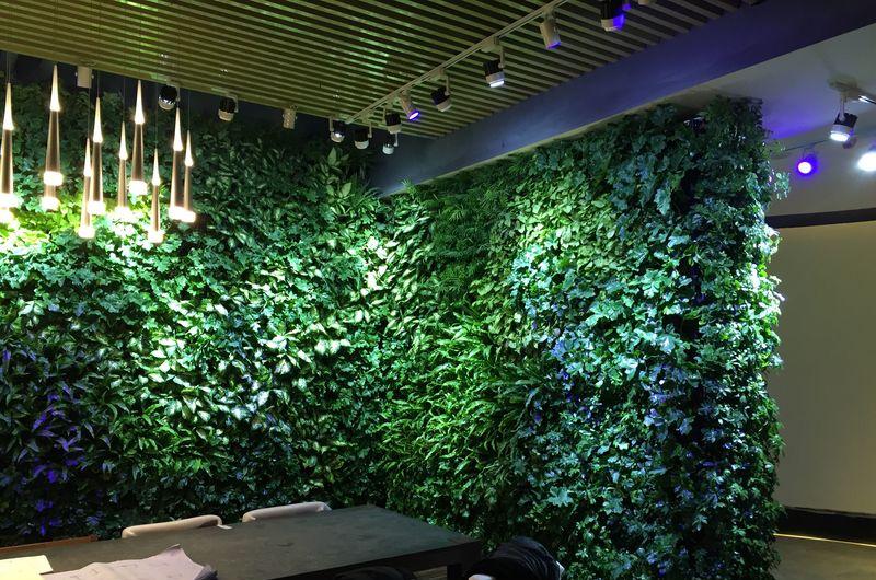 高新区国际美术城-植物墙-1