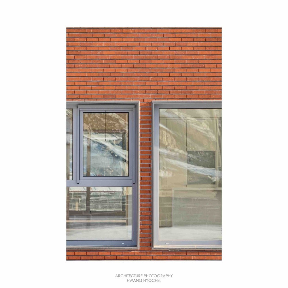 温暖阳光照亮受伤主人生活-57