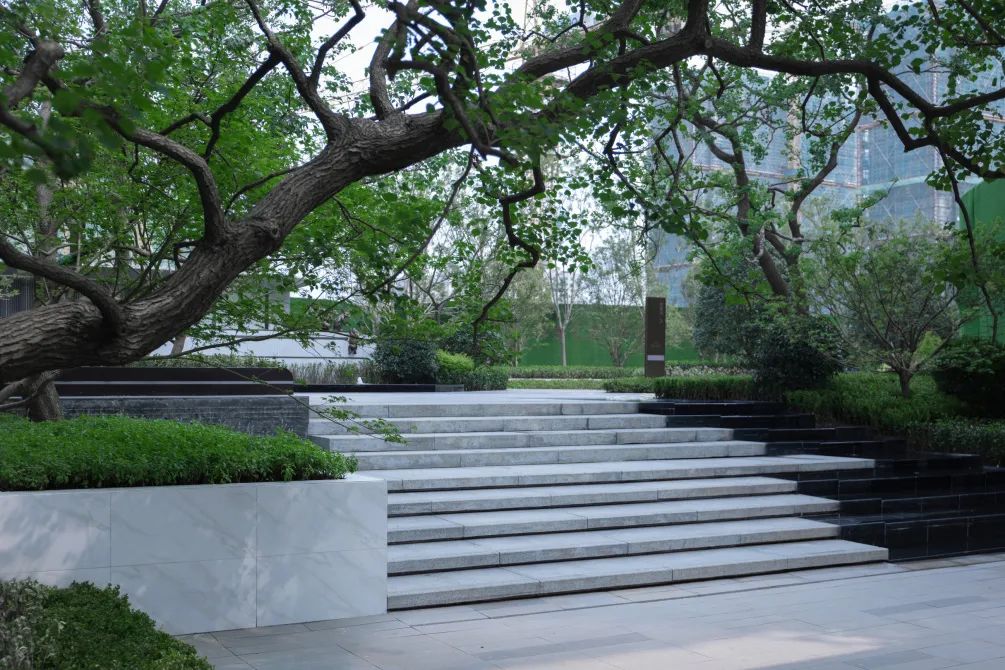 尚都·明悦府丨中国连云港丨QIDI栖地设计_博翰事业部-19