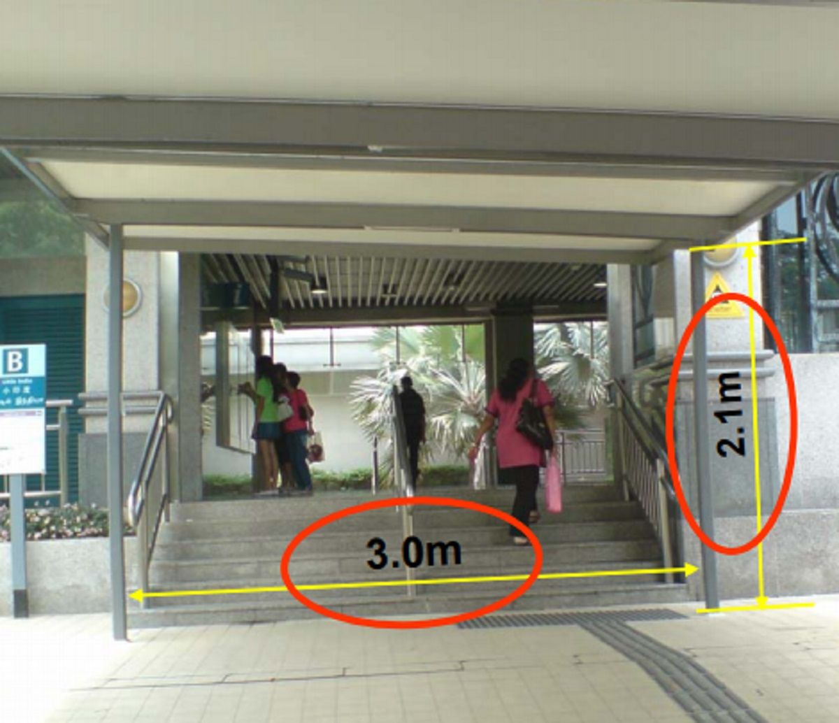 新加坡空中绿道-6