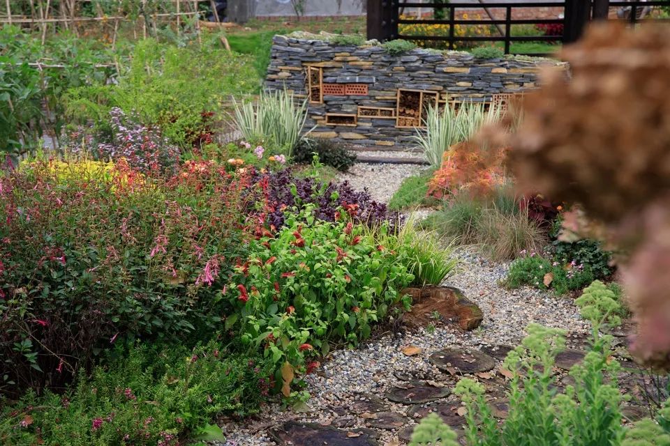 成都新希望种子乐园丨蓝海景观-66