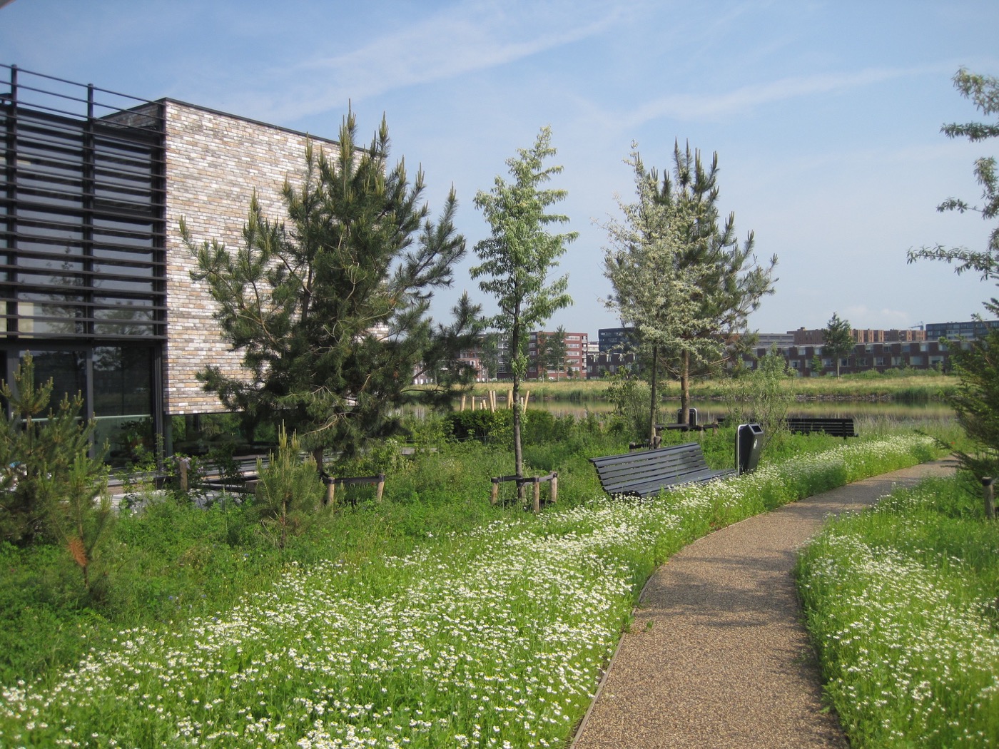 阿姆斯特丹 Rieteiland Oost 岛屿社区-5