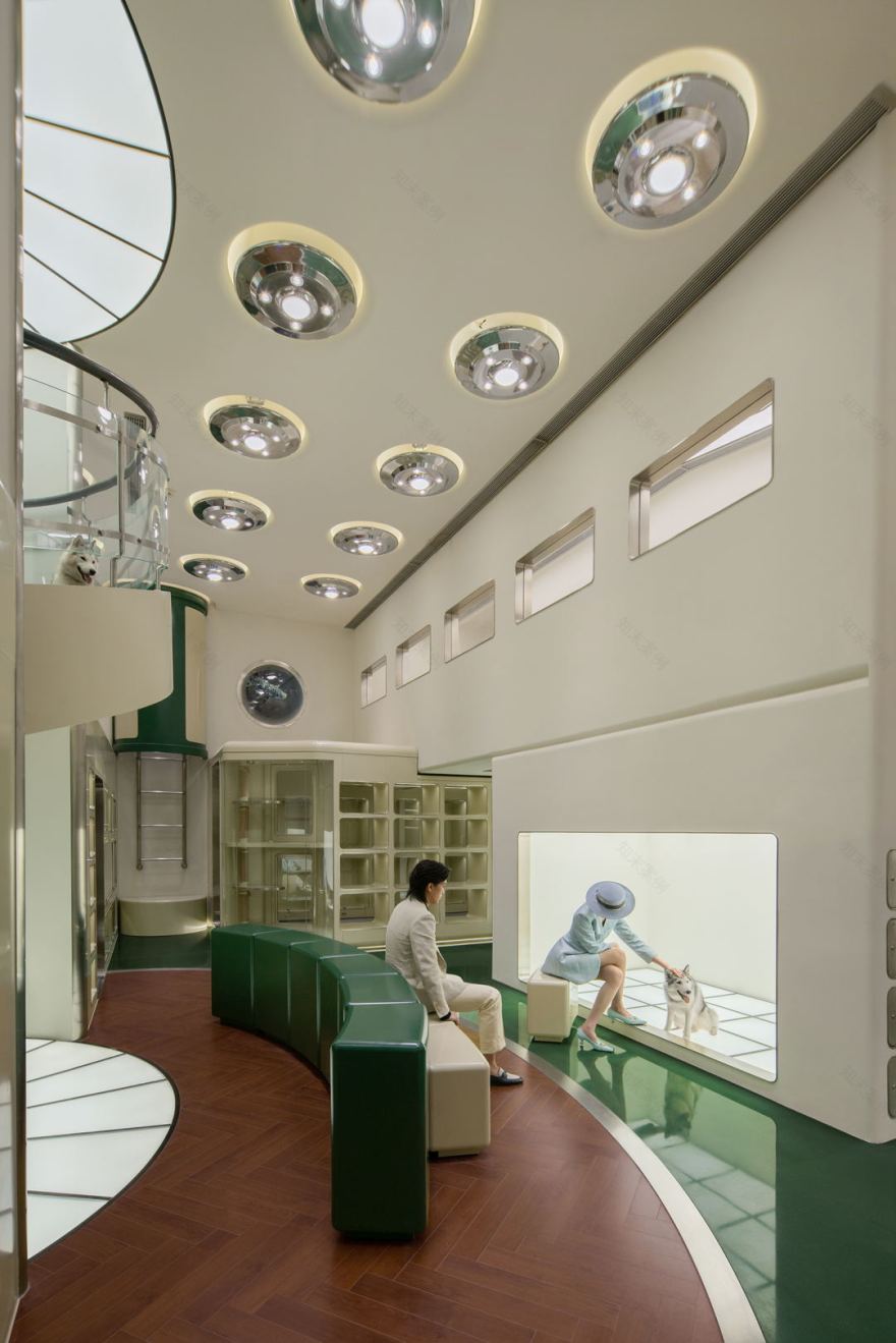 bibu宠物店丨中国广州丨今朝风日好ofD-1