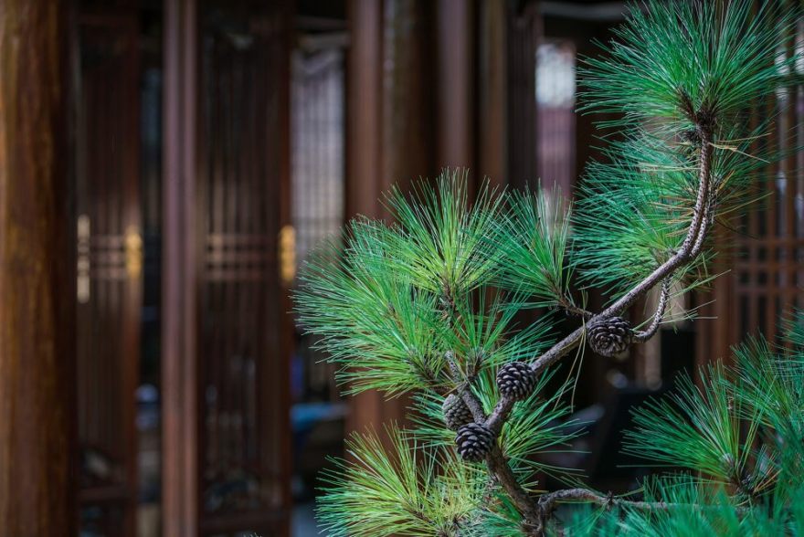 璞栈民宿丨中国大理丨广州里尔设计事务所-14