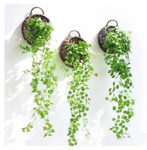 北欧风格植物搭配,贴近自然的居家美学-30