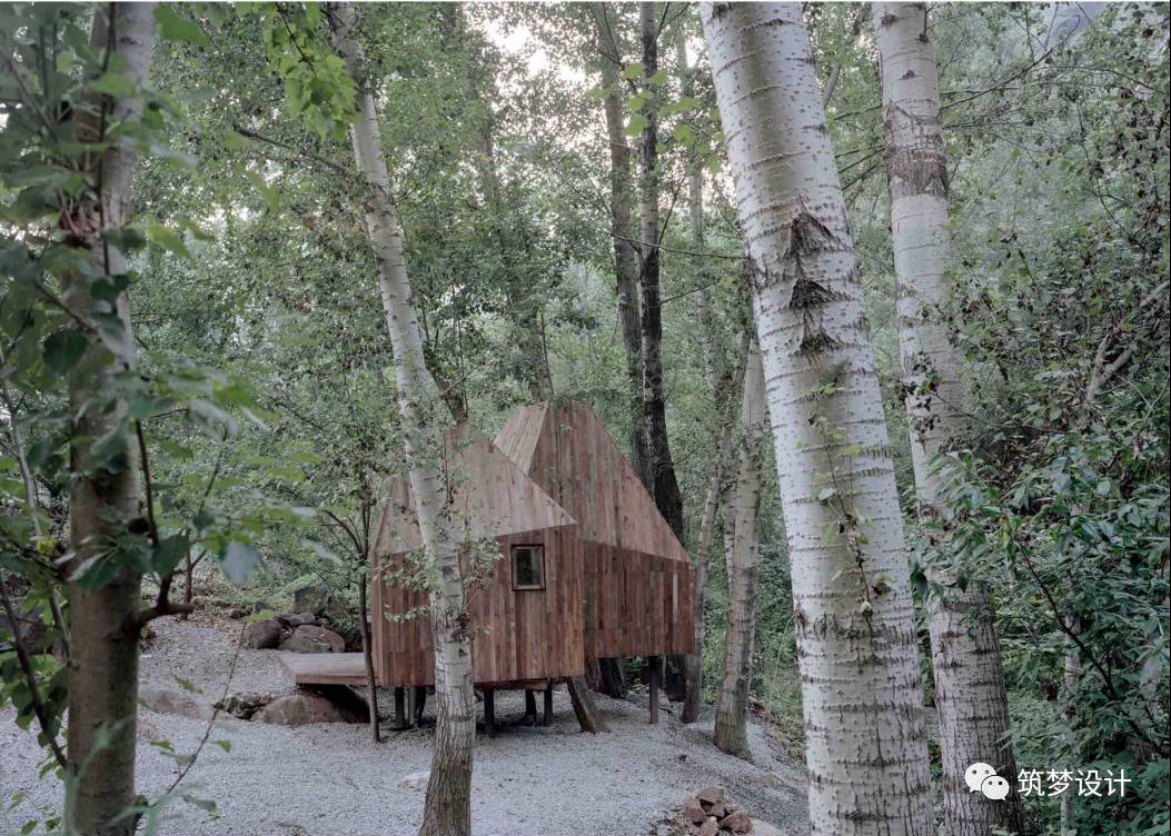 听闻 |这个春天到北京看树屋-9