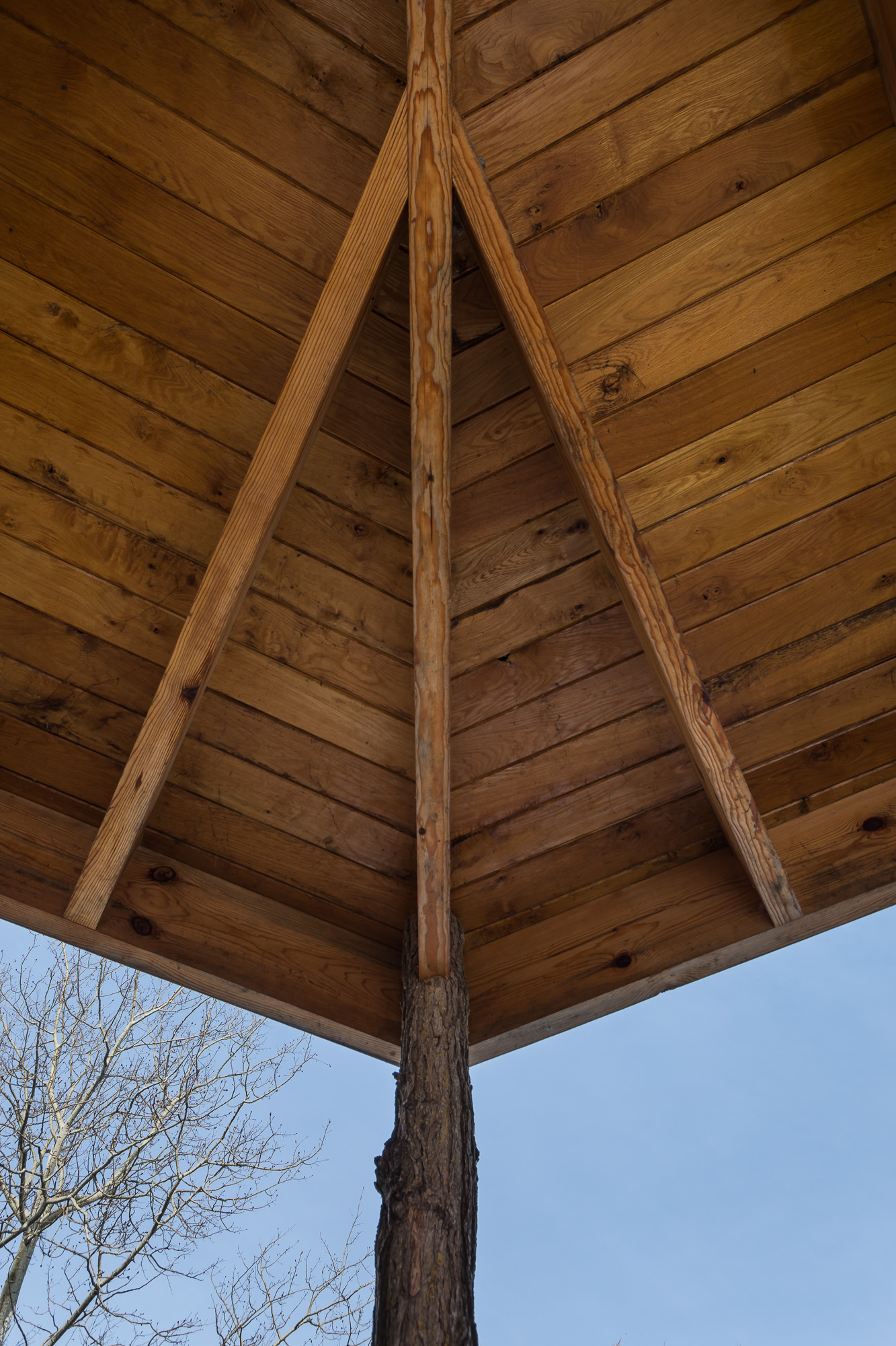 温尼伯湖畔的现代小屋，融入自然的私密空间-11