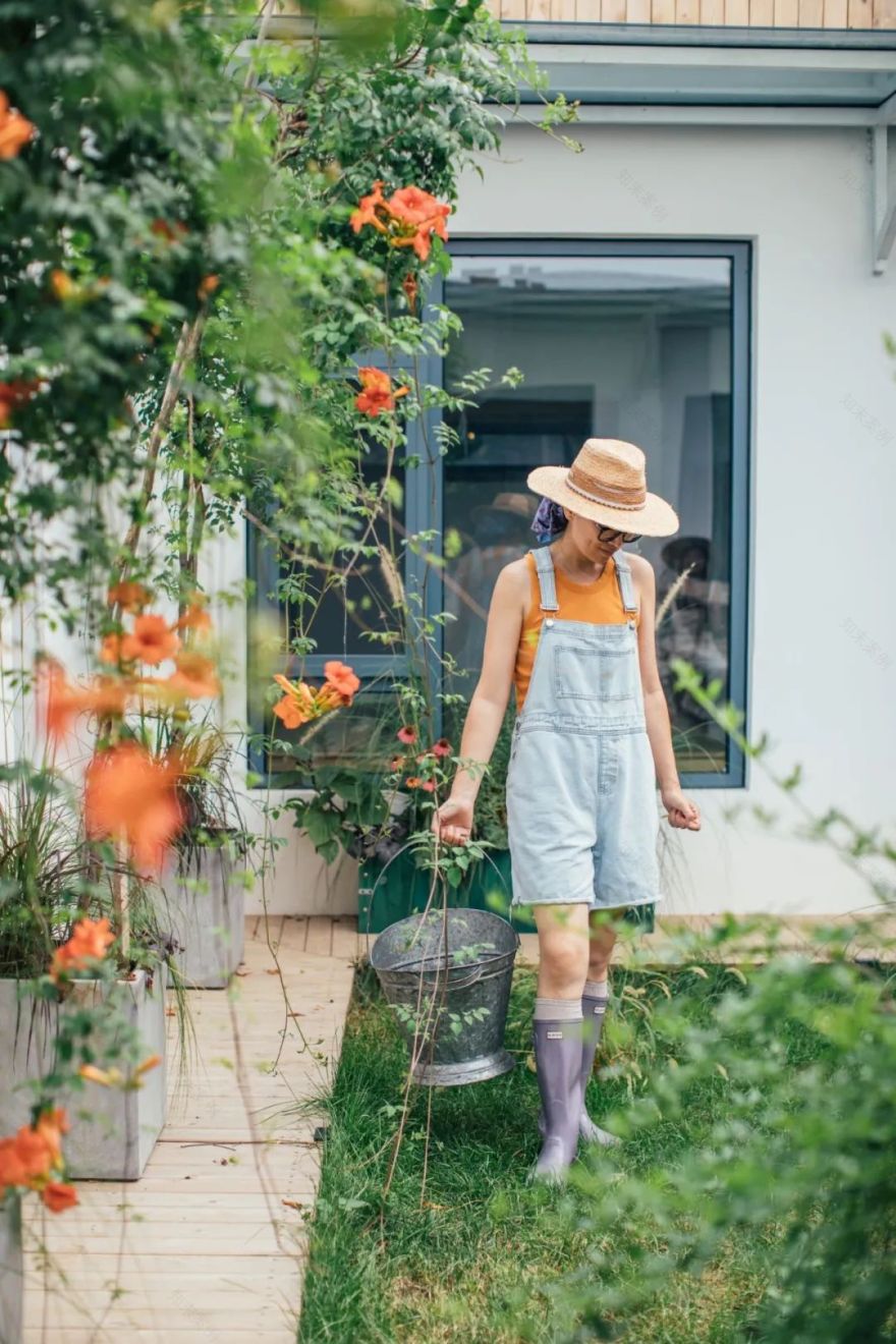 树林中的神仙小院 · 摄影师夫妻 10 万元爆改租住房丨中国北京-71