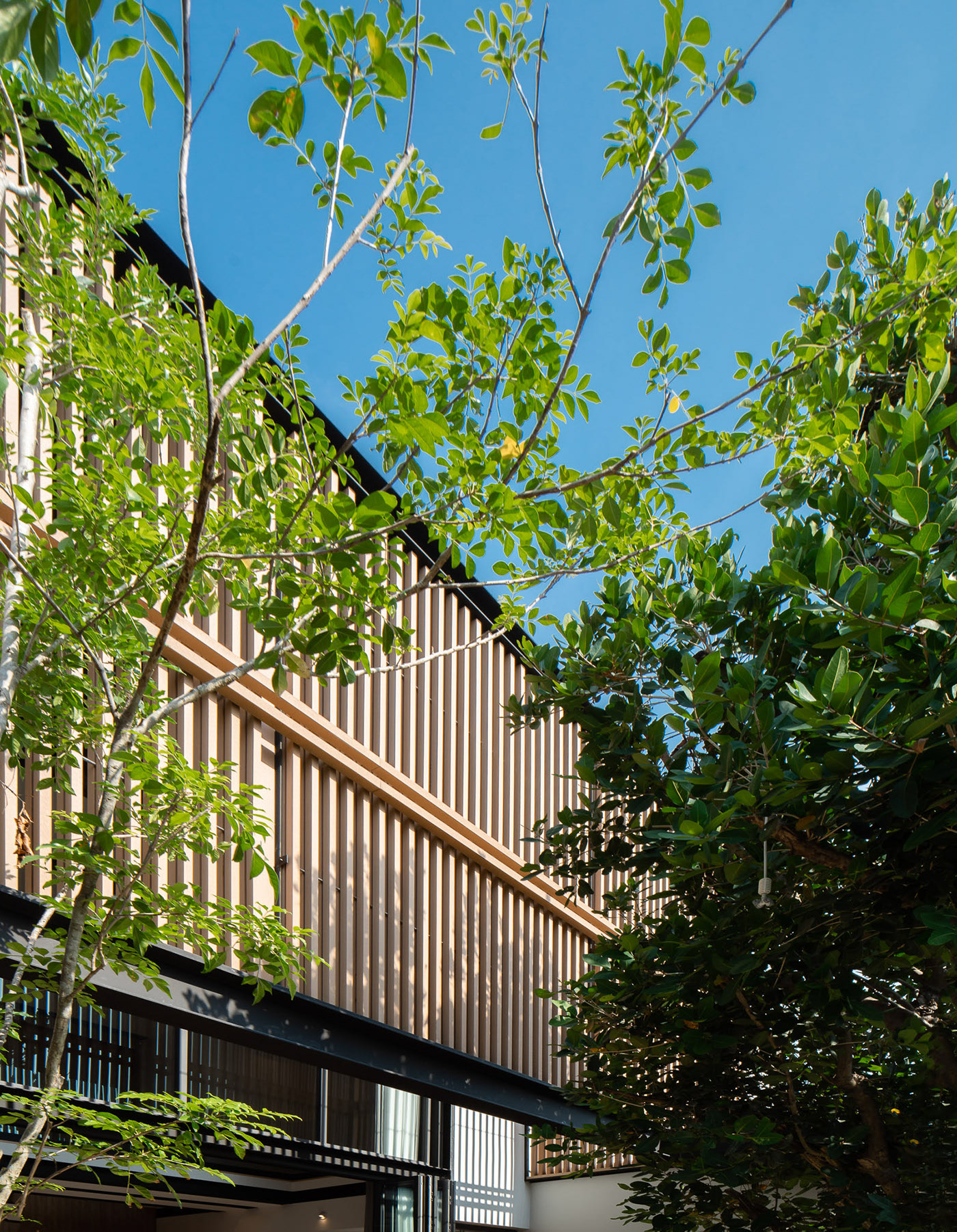 泰国清迈合院住宅 | INLY STUDIO-11