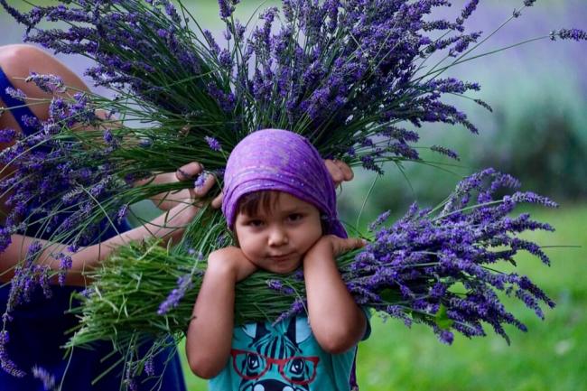 国际景观艺术中心“绿色箭头”之黄色磨坊花园丨法国巴黎丨斯拉瓦·波卢宁-34