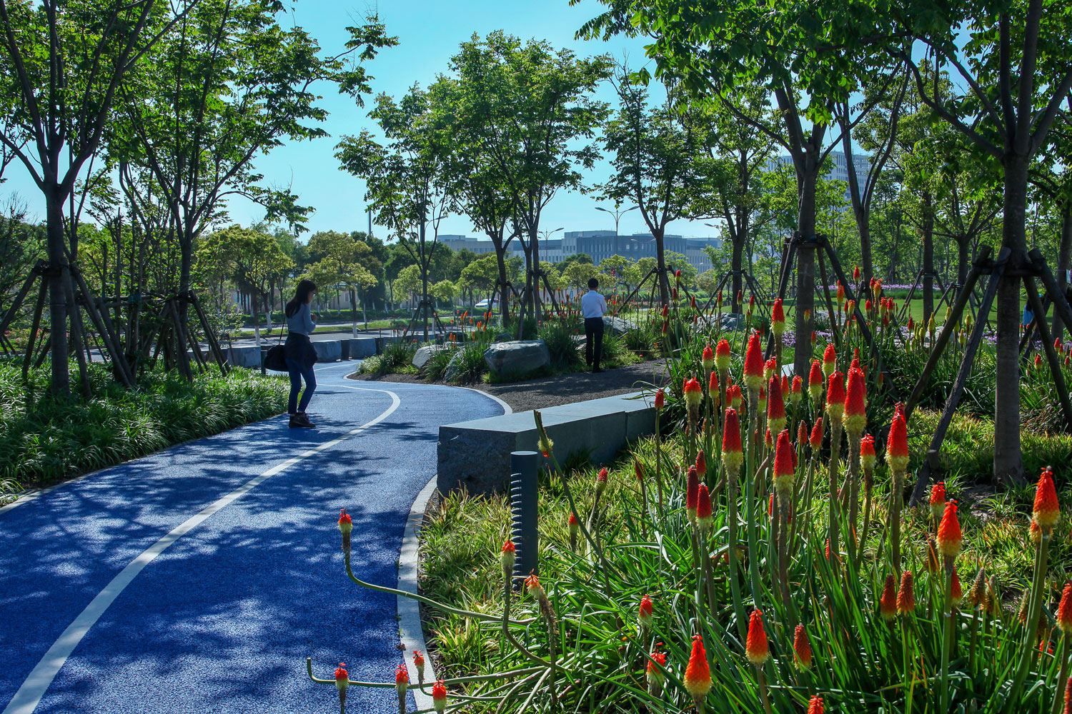 上海临港港城滴水湖绿色带线性公园-30