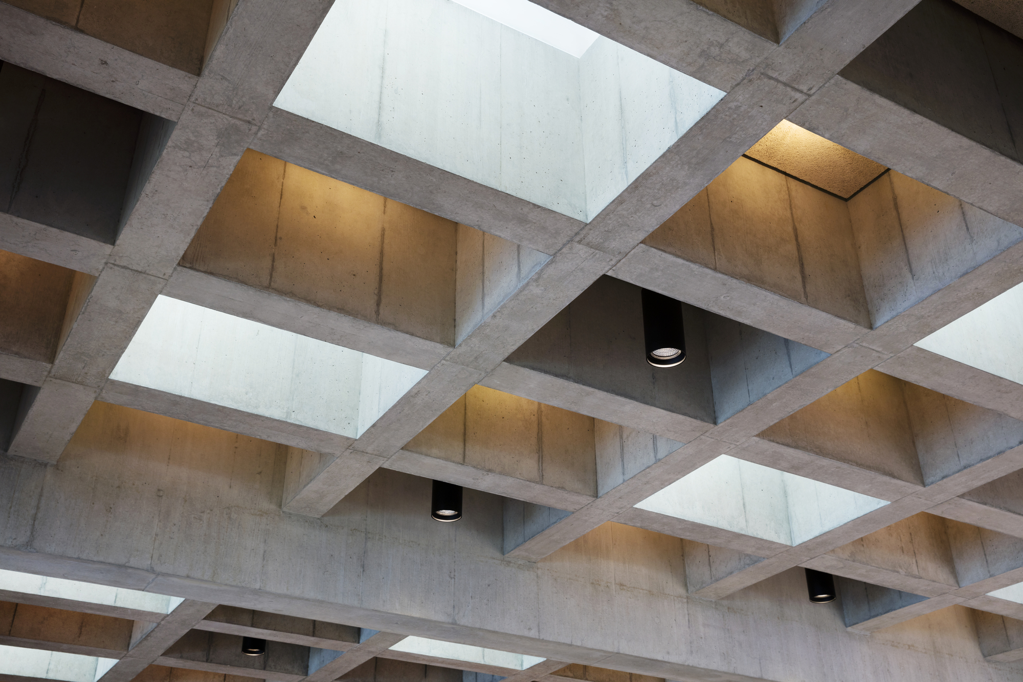 瑞士养老院扩建项目融入社区，呈现温馨室内空间-9