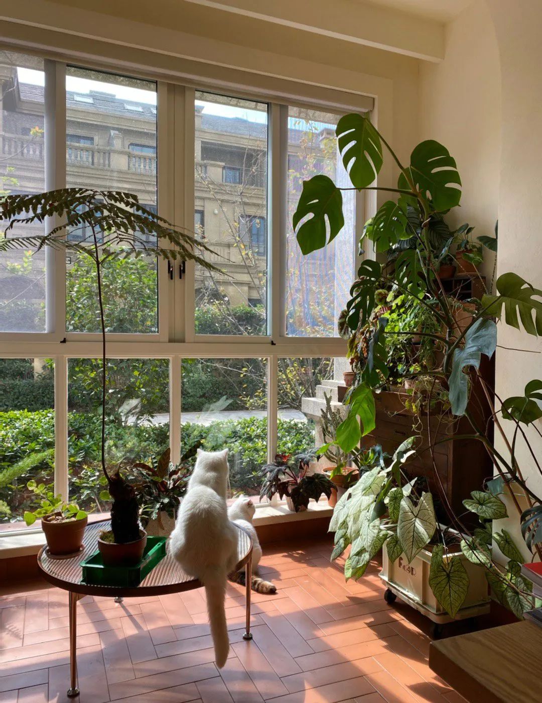 90后女孩回乡打造的梦幻家居丨中国浙江丨屋主路问-49