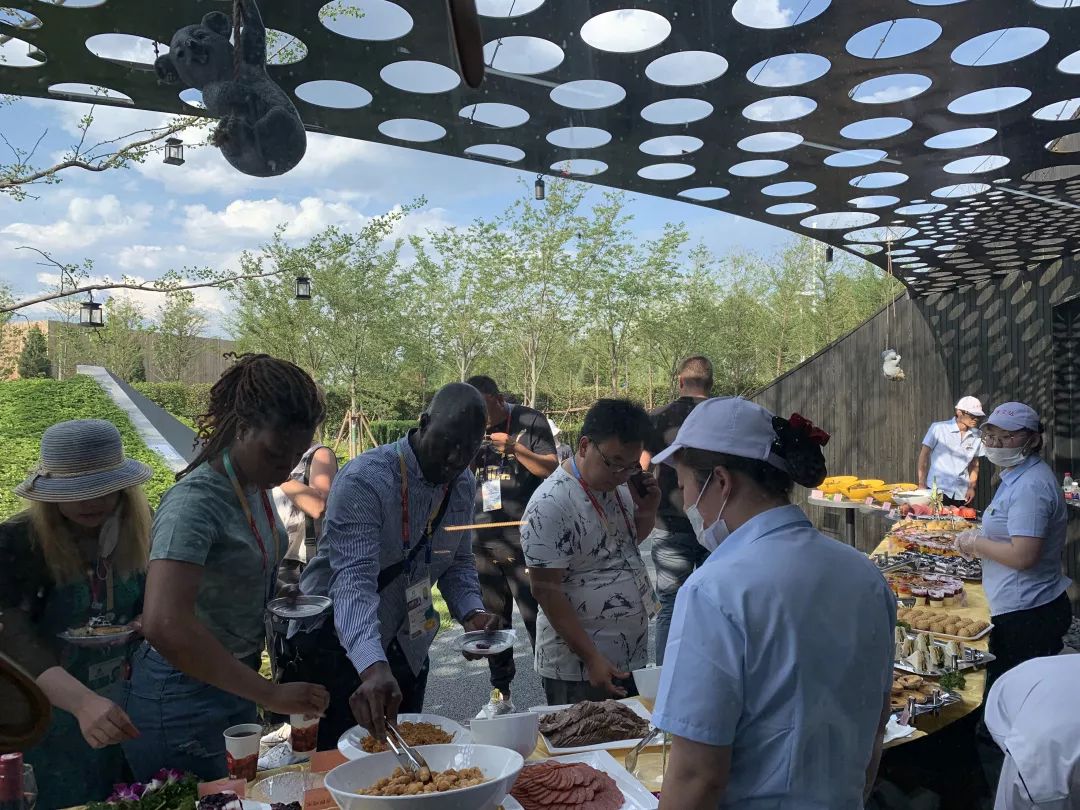 世园会澳大利亚日，感受“慢生活”展园之美-22