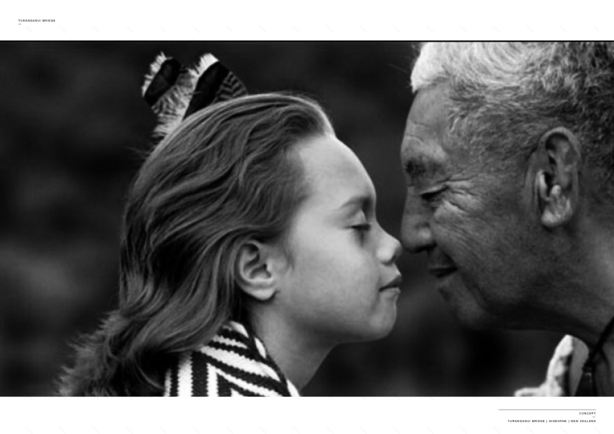 TURANGANUI BRIDGE | Monk Mackenzie-15