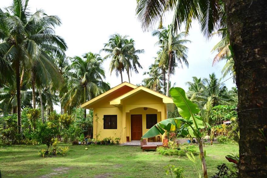 黄色小房子设计案例-9