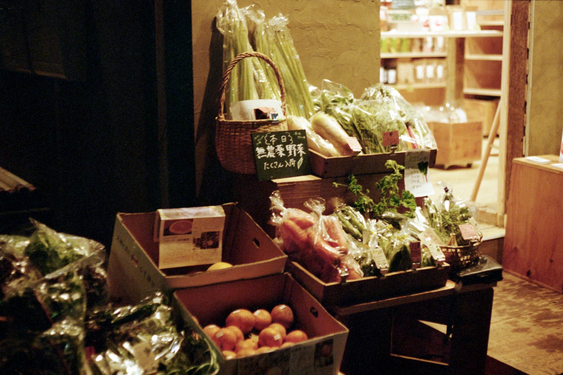 丨日本东京丨Jo Nagasaka,Schemata Architects-4